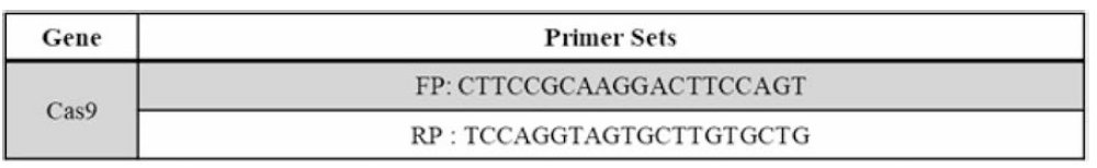 Cas9 검출 시험법용 PCR Primer