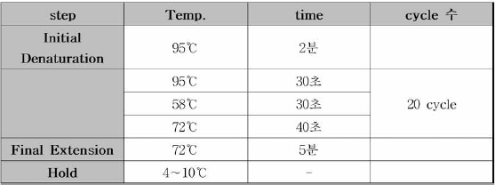 T7E1 시험법 1st PCR 조건