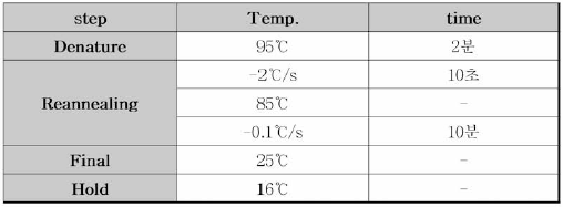 Denature/ Reannealing PCR 조건