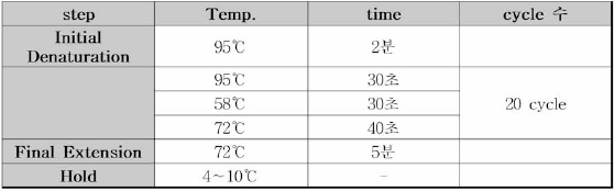 T7E1 시험법 2nd PCR 조건