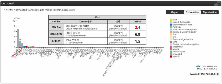 세포주에 따른 PD-1 발현율