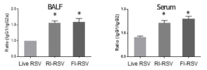 FI-RSV, RI-RSV 면역화에 의한 IgG1/IgG2a 생성 비율 분석