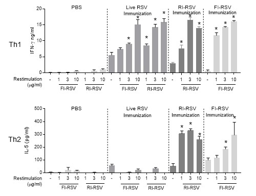 FI-RSV, RI-RSV 면역화에 의한 Th1, Th2 싸이토카인 발현 분석