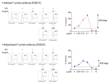 RSV F 단백질 항체를 이용한 in vitro ADE 모델 구축