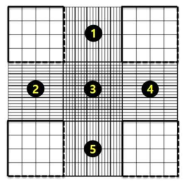 Cell counting sequence in each chamber of the hemocytometer