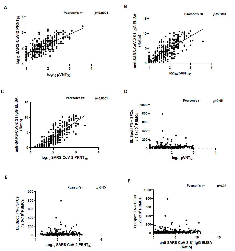 코로나19 완치자에서 체액성면역과 세포성면역의 상관관계 A. PRNT50과 pVNT50의 상관관계 B. pVNT50과 Euroimmun Anti-SARS-CoV-2 S1 ELISA 항체가의 상관관계 C. PRNT50과 Euroimmun Anti-SARS-CoV-2 S1 ELISA 항체가의 상관관계 D. pVNT50과 IFN-y ELISpot의 SFCs의 상관관계 E. PRNT50과 IFN-y ELISpot의 SFCs의 상관관계 F. Euroimmun Anti-SARS-CoV-2 S1 ELISA 항체가와IFN-g ELISpot의 SFCs의 상관관계