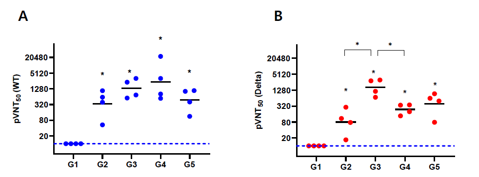 코로나19 subunit 백신 접종 그룹별 동물 검체에서 Geomean pVNT50 항체가 A. Wild type pVNT50 B. Delta variant pVNT50