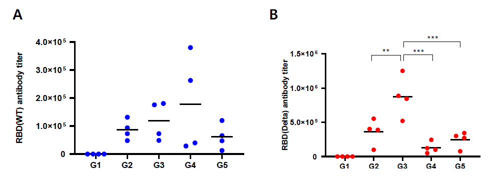 코로나19 subunit 백신 접종 그룹별 동물 검체에서 RBD　Binding antibody titer A. Wild RBD antibody titer B. Delta variant RBD antibody titer