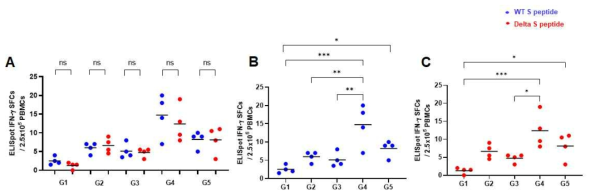 A사 백신 접종 후 SARS-CoV-2 peptide로 자극한 마우스 splenocyte의 IFN-g ELISpot SFCs A : Wild, Delta peptide 간의 비교, B: Wild type peptide로 자극한 IFN-y spot SFCs, C: Delta variant peptide로 자극한 IFN-y spot SFCs