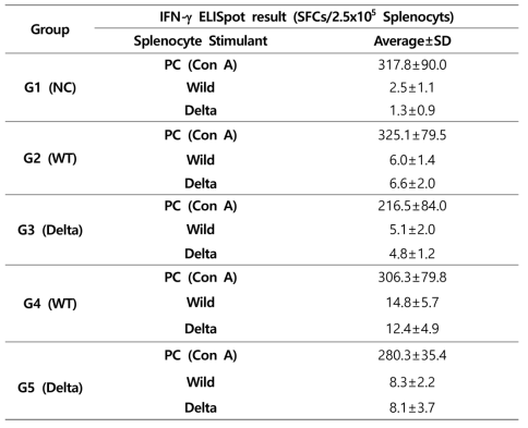 A사 백신 후보물질 접종 후 마우스 각 그룹별 IFN-g ELISpot 평균 SFCs