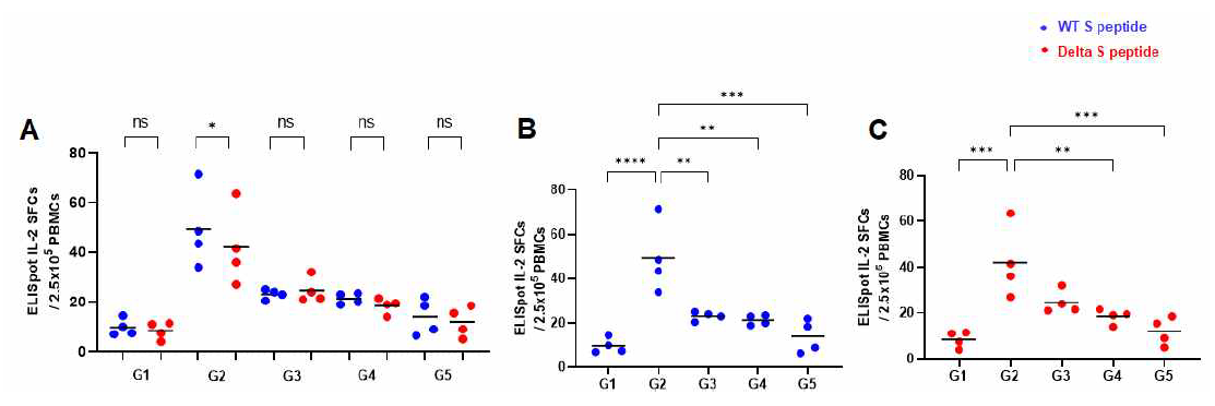 A사 백신 접종 후 SARS-CoV-2 peptide로 자극한 마우스 splenocyte의 IL-2 ELISpot SFCs A : Wild, Delta peptide 간의 비교, B: Wild type peptide로 자극한 IL-2 spot SFCs, C: Delta variant peptide로 자극한 IL-2 spot SFCs