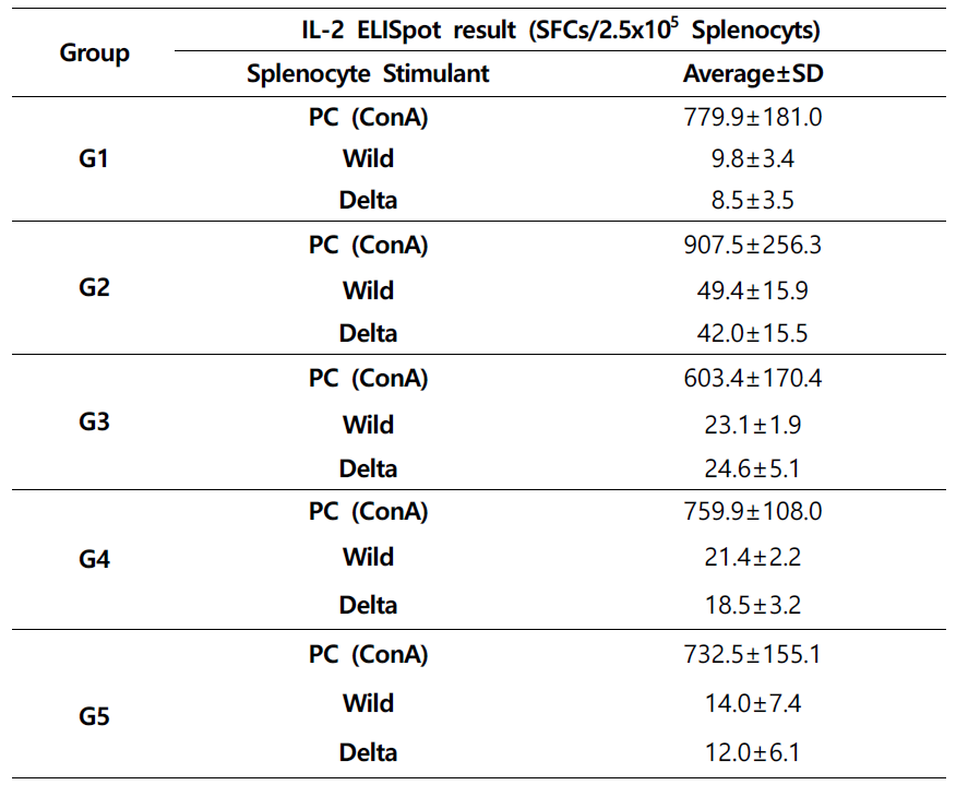 A사 백신 후보물질 접종 후 마우스 각 그룹별 IL-2 ELISpot 평균 SFCs