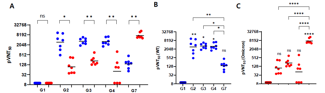 코로나19 mRNA 백신 접종 그룹별 동물 검체에서 Geomean pVNT50 항체가 A. 각 그룹에서 Wild type와 Omicron variant의 비교, B. WT, C. Omicron variant
