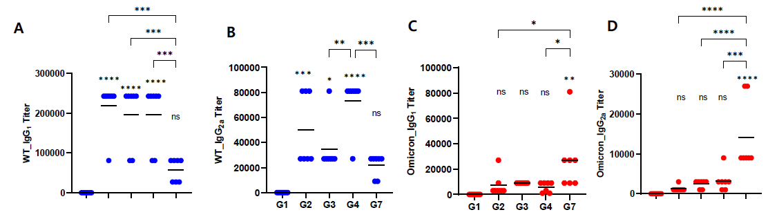 코로나19 mRNA 백신 접종 그룹별 검체에서 RBD-specific total binding antibody 항체가 A. WT IgG1 titer, B. WT IgG2a titer, C. Omicron variant IgG1 titer, D. Omicron variant IgG2a titer