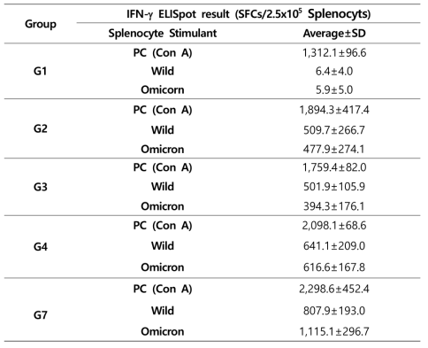 B사 백신 후보물질 접종 후 마우스 각 그룹 별 IFN-g ELISpot 평균 SFC