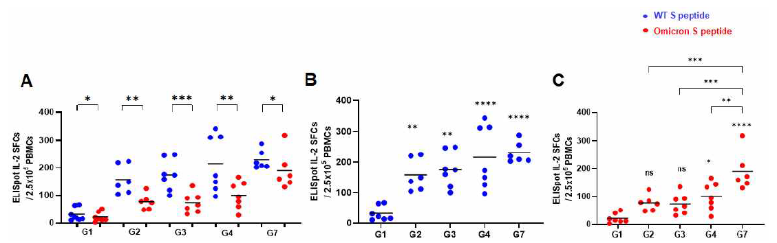 B사 백신 접종 후 SARS-CoV-2 peptide로 자극한 마우스 splenocyte의 IL-2 ELISpot SFCs A : Wild, Omicron peptide 간의 비교, B: Wild type peptide로 자극한 IL-2 spot SFCs, C: Omicron variant peptide로 자극한 IL-2 spot SFCs