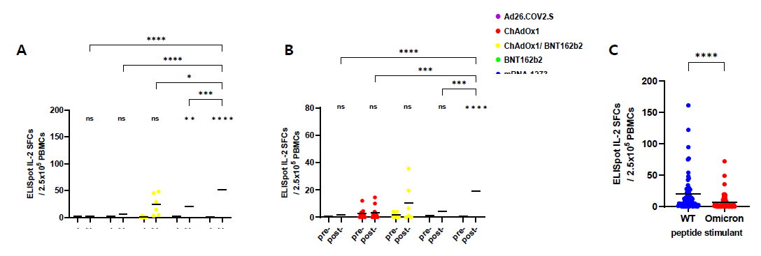 코로나19 백신을 기본접종한 임상 검체에서 개별 IL-2 ELISpot SFCs A. wild type S peptide+ N, M peptide, B. Omicron S peptide+ N, M peptide, C. Wild type과 Omicron S peptide 비교