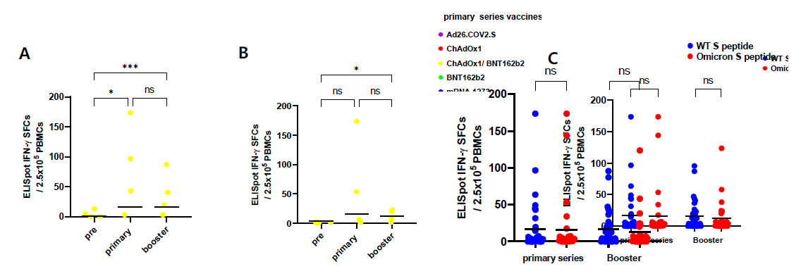 코로나19 백신 접종 전후와 추가 접종 후 임상 검체에서 평균 IFN-g ELISpot SFCs A. wild type S peptide+ N, M peptide, B. Omicron S peptide+ N, M peptide, C. Wild type과 Omicron S peptide 비교