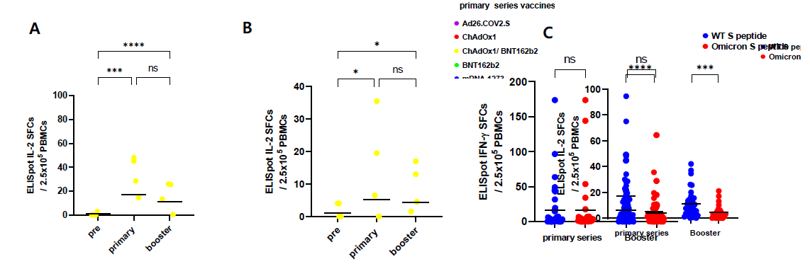 코로나19 백신 기본접종과 추가 접종 후 임상 검체에서 평균 IL-2 ELISpot SFCs A. A. wild type S peptide+ N, M peptide, B. Omicron S peptide+ N, M peptide, C. Wild type과 Omicron S peptide 비교