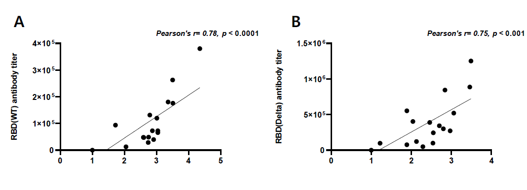 A사 subunit vaccine에서 pVNT50과 RBD binding antibody titer와의 상관관계 A. Wild type pVNT50과 Wild type RBD binding antibody titer B. Delta variant pVNT50과 Delta variant RBD binding antibody titer