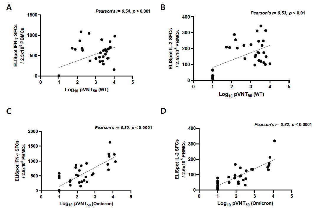 C사 mRNA vaccine에서 pVNT50과 ELISpot SFCs와의 상관관계 A. Wild type pVNT50과 wild S peptide로 자극한 IFN-y ELISpot SFCs B. Wild type pVNT50과 wild S peptide로 자극한 IL-2 ELISpot SFCs C. Omicron variant pVNT50과 Omicron peptide로 자극한 IFN-y ELISpot SFCs D. Omicron variant pVNT50과 Omicron peptide로 자극한 IL-2 ELISpot SFCs