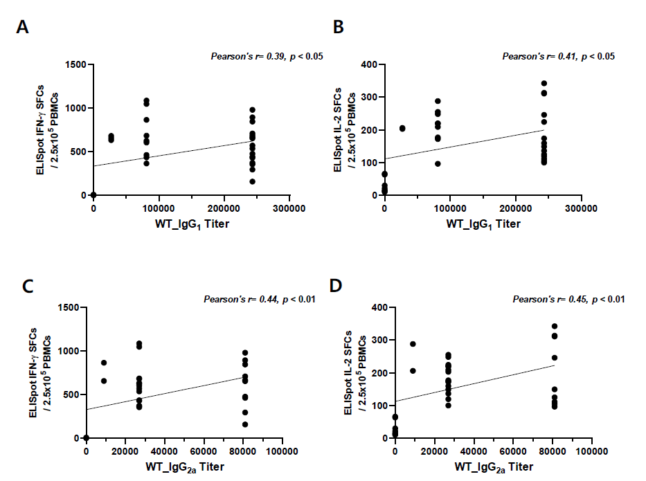 C사 mRNA vaccine에서 Wild type에 대한 RBD-specific total binding antibody titer와 ELISpot SFCs와 상관관계 A. Wild type RBD IgG1 titer와 Wild type S peptide로 자극한 IFN-y ELISpot SFCs B. Wild type RBD IgG2a titer와 Wild type S peptide로 자극한 IL-2 ELISpot SFCs C. Omicron RBD IgG1 titer와 Wild type peptide로 자극한 IFN-y ELISpot SFCs D. Omicron RBD IgG2a titer와 Wild type peptide로 자극한 IL-2 ELISpot SFCs