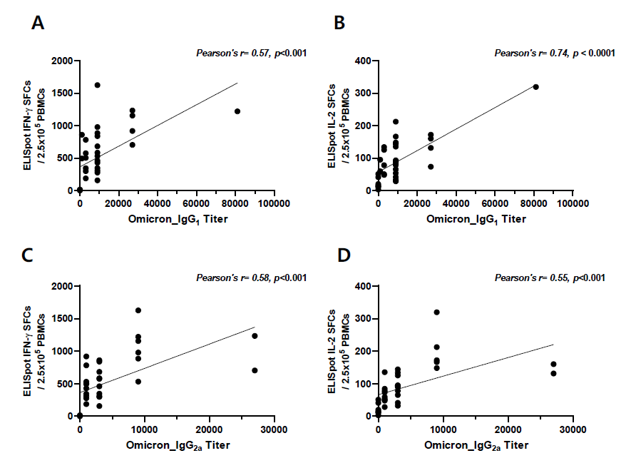 C사 mRNA vaccine에서 RBD-specific total binding antibody titer와 ELISpot SFCs와 상관관계 A. OmicronRBD IgG1 titer와 Omicron S peptide로 자극한 IFN-y ELISpot SFCs B. Omicron RBD IgG2a titer와 Omicron S peptide로 자극한 IL-2 ELISpot SFCs C. Omicron RBD IgG1 titer와 Omicron peptide로 자극한 IFN-y ELISpot SFCs D. Omicron RBD IgG2a titer와 Omicron peptide로 자극한 IL-2 ELISpot SFCs