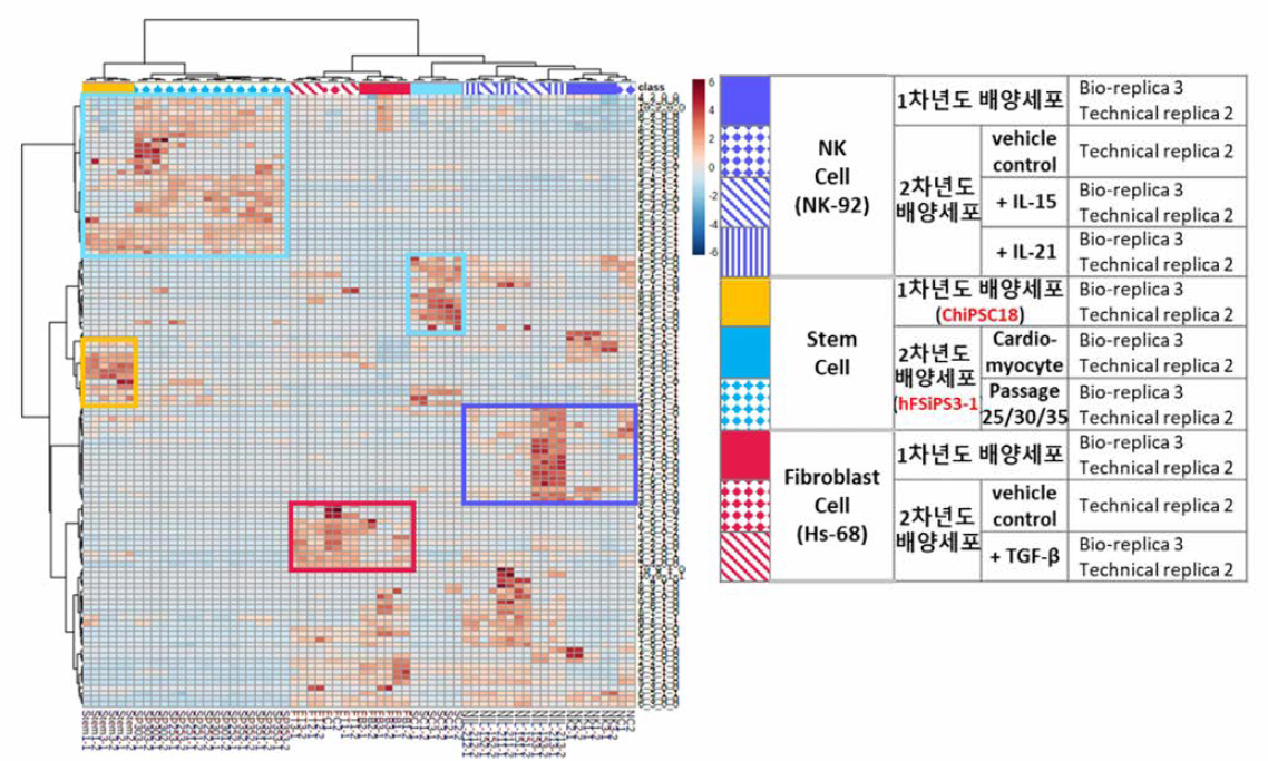 배양 조건 다양화에 따른 당사슬 피노타입을 위한 Heatmap 분석