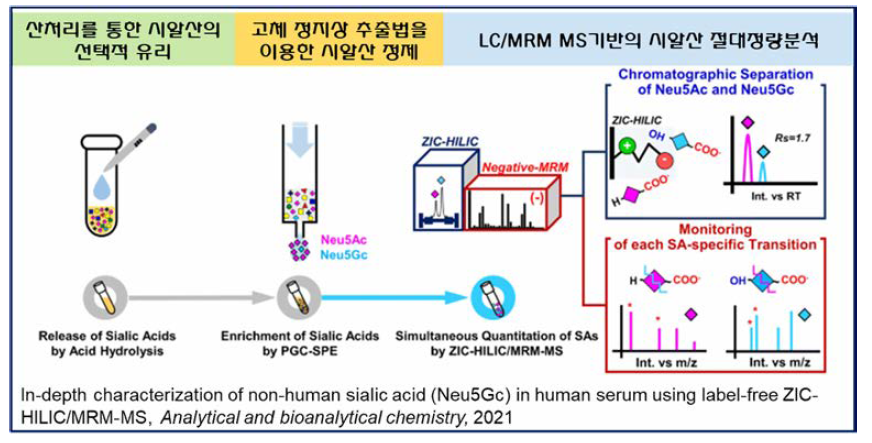 LC/MRM MS기반 비인간 산성당사슬 절대정량 분석법