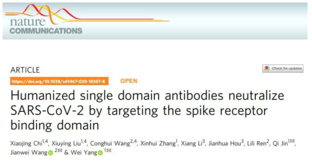 인간화된 단일도메인항체가 COVID-19 바이러스를 중화시킨다는 보고. (Nature Communication, 2020.9.10.)