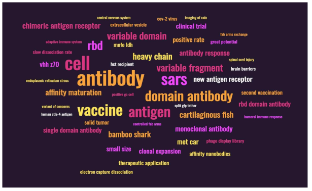 단일도메인항체 연관 50개 키워드를 분석한 워드 클라우드 결과