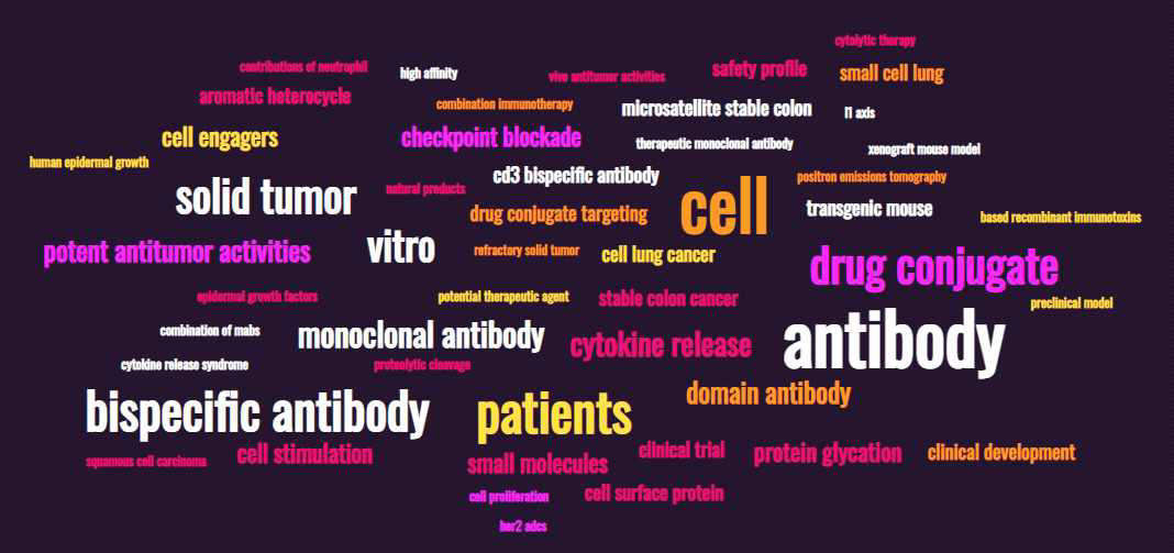 이중-특이적 항체와 항체 약물 접합체 관련 50개 키워드를 분석한 워드 클라우드 결과