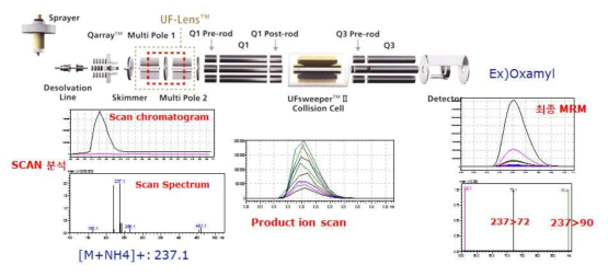 LC-MS/MS MRM 조건설정의 예 (Oxamyl의 MRM조건 설정) ※ 참고자료: EURL(EU Reference Laboratories for Residues of Pesticides ) Official Journal of the European Communities SANCO Manual (Document N° SANCO/12495/2011) MS/MS 분석 관련 최신논문 및 각종 GC/MS library