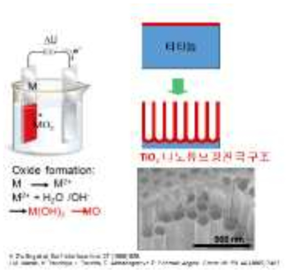 TiO2 나노튜브 광전극을 제조하기 위한 티타늄 양극산화 모식도