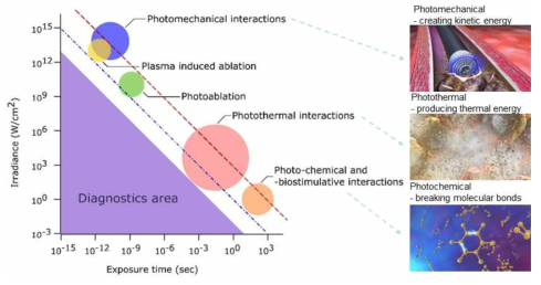 Light-scheme interaction scheme (출처: K. S. Litvinova et al.,(2017))