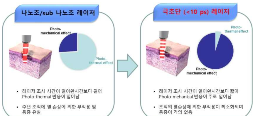 조사광의 펄스폭에 따른 피부 반응