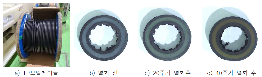 열화시험을 위한 TP모델케이블 및 열화에 따른 시험샘플의 단면적 변화