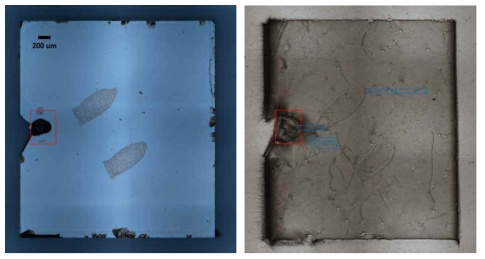 파괴된 소자의 광학 이미지와 XRT 회절 이미지 (g=-1-128)