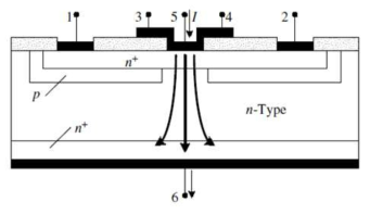 Vertical resistance Kelvin test 구조