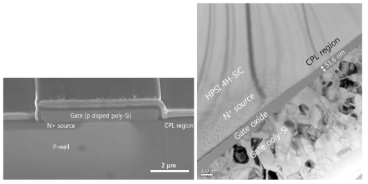SEM 및 TEM으로 관찰한 gate oxide 구조