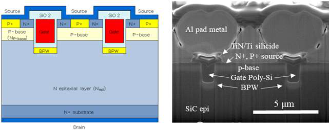 Bottom P-Well (BPW) 구조를 갖는 trench MOSFET 소자 (左) 개념구조도와 (右) 제작된 소자 SEM 단면 이미지