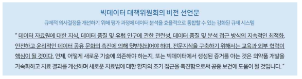 빅데이터 대책위원회의 비전 선언문