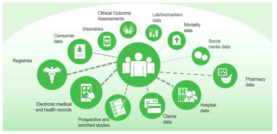 다양한 종류의 의료 빅데이터 (출처: IQVIA Real World Evidence-An Industry Perspective 문서)