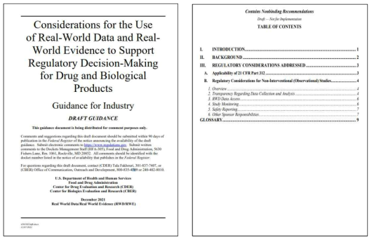 제약기업에서 의약품 및 생물학적 제품에 대한 규제 의사 결정을 지원하기 위한 RWD/RWE 활용에 대한 고려사항 가이드라인