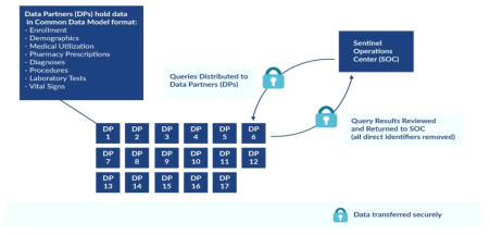 Sentinel의 Distributed Data Approach (출처: https://www.sentinelinitiative.org/about/how-sentinel-gets-its-data)