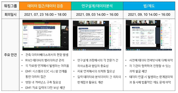 화상회의 플랫폼을 활용한 1차 연도 회의 진행 캡쳐본 및 회의 주요 안건