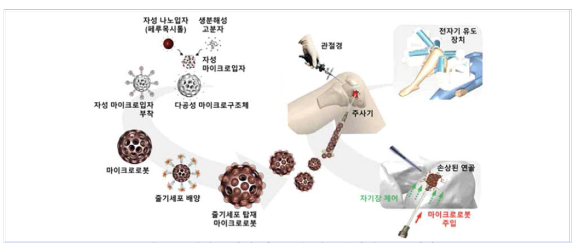 줄기세포 탑재 나노로봇 시스템(바이오트코리아社)