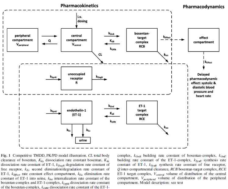 보젠탄의 Target Mediated Drug Disposition PK 모델과 Emax PD 모델 모식도