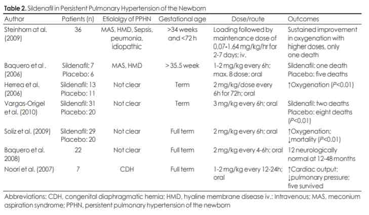 신생아 폐고혈압지속증에서 실데나필의 유효성 평가