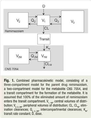 Remimazolam의 3구획 모형과 대사체의 2구획 모형의 결합